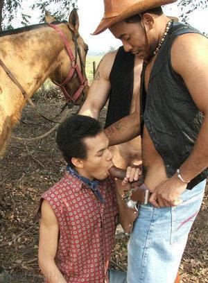 Gay cowboy Porn Pictures - 139 Galleries